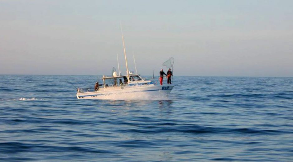 Garibaldi Charters