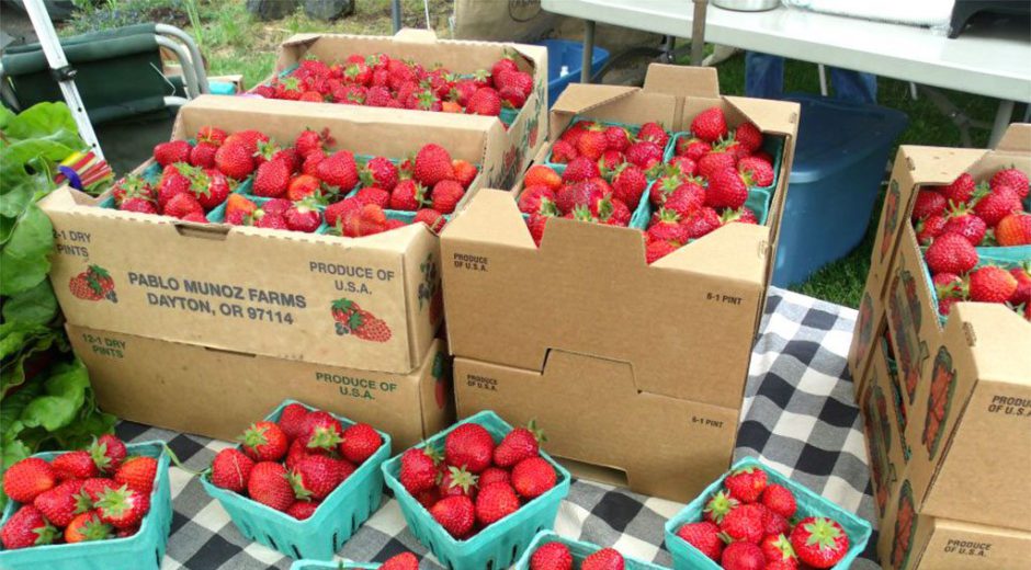 Lincoln City Farmers and Crafters Market