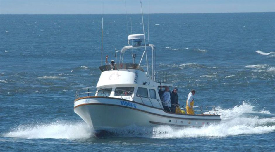 Siggi G Ocean Charters