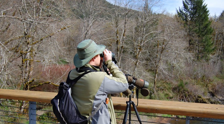 Tillamook Forest Center