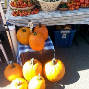 Cannon Beach Farmers Market