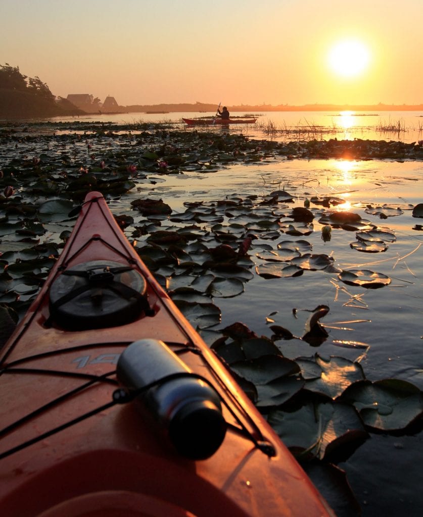 Kayak Tillamook