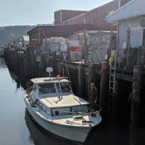 Fresh seafood at The Spot - North Coast Food Trail