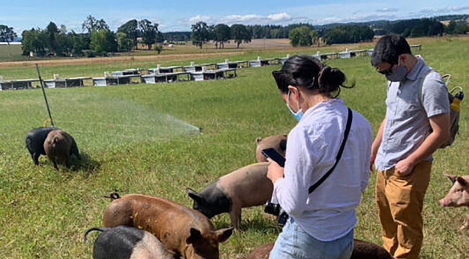 farm2forktours farm tour