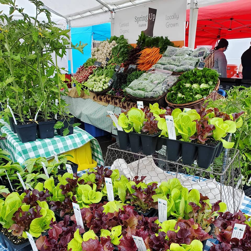 Astoria Sunday Market A celebration of community North Coast Food Trail