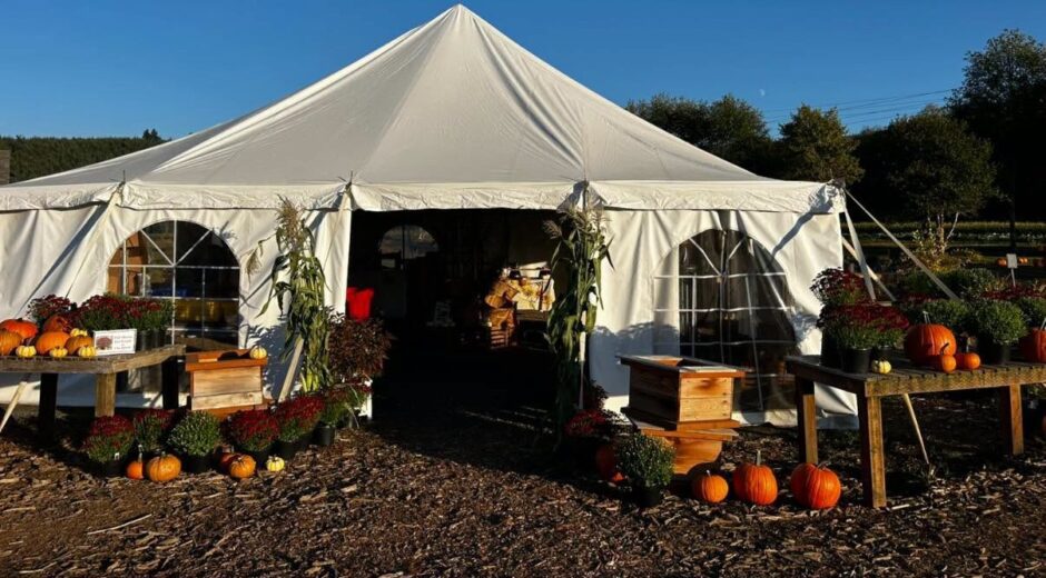 Blackberry Bog Fall Tent